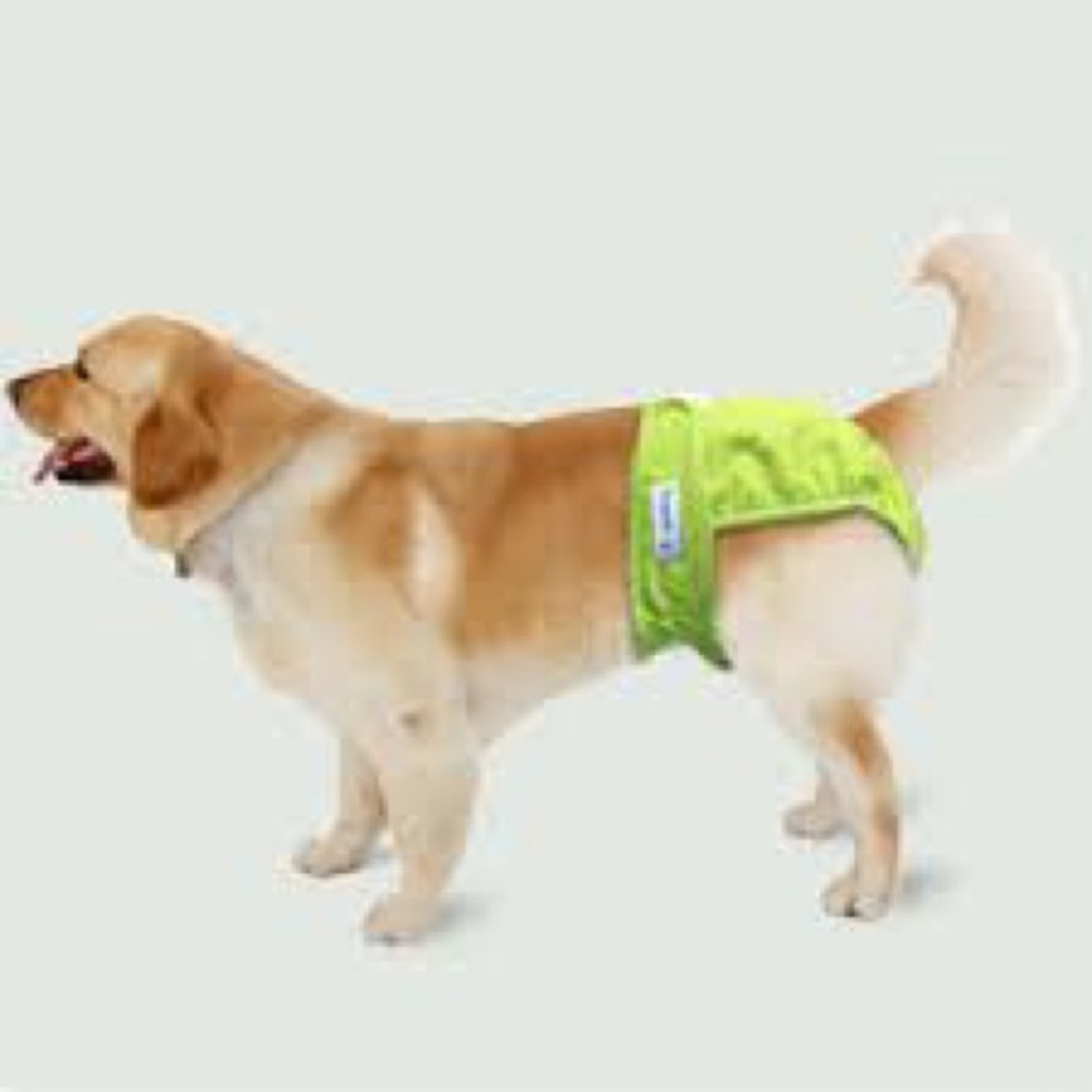 Teaming Green Dog Diaper